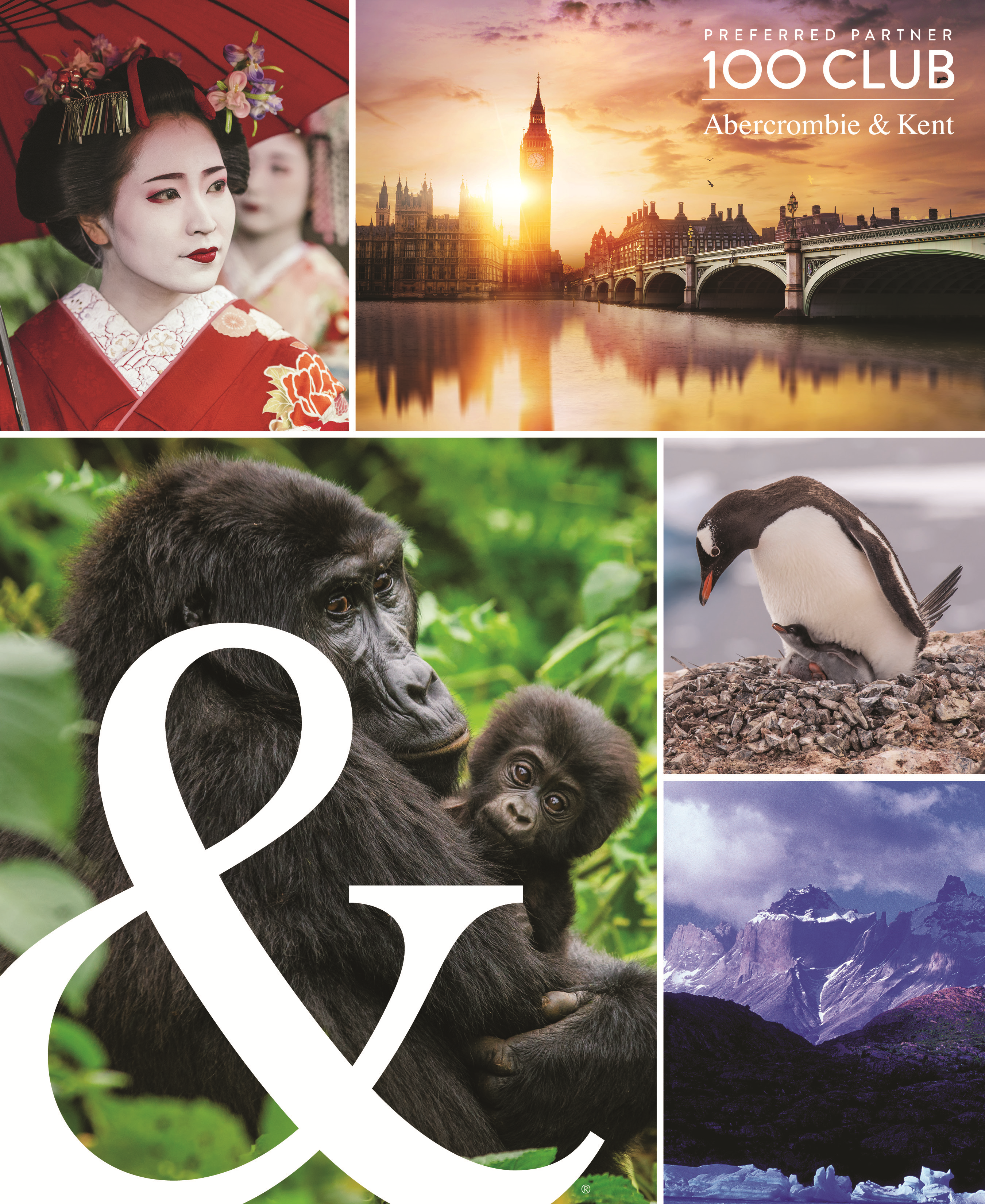 Brochure Design